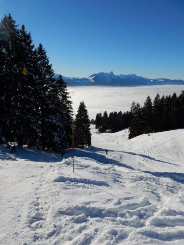 20. Januar 2017
