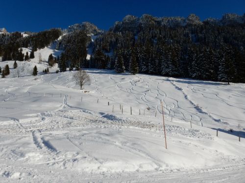 20. Januar 2017
