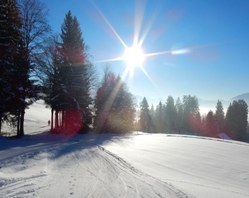 20. Januar 2017
