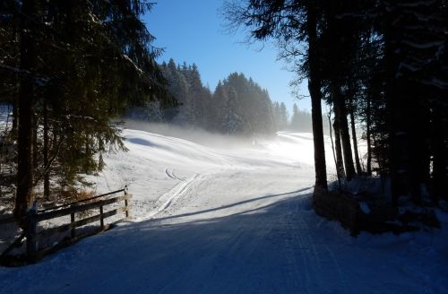 20. Januar 2017
