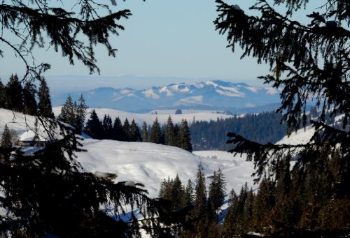 20. Januar 2017
