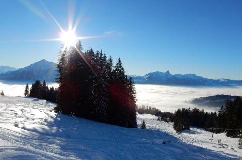 20. Januar 2017

