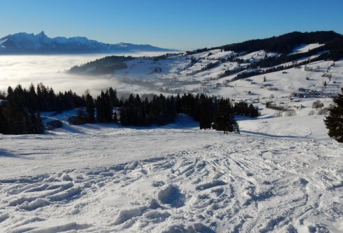 20. Januar 2017

