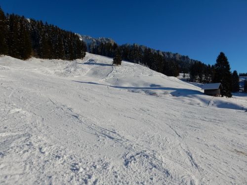 20. Januar 2017
