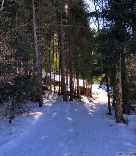 18. Februar 2019
