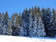 20170120-schwanden-147.jpg