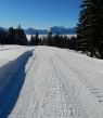 20170120-schwanden-173.jpg