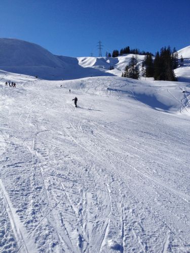 22. Januar 2013

