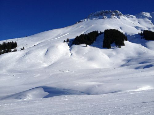 22. Januar 2013
