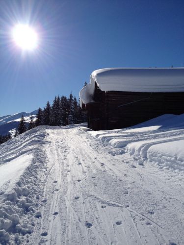 Brigels, 26. Januar 2012
