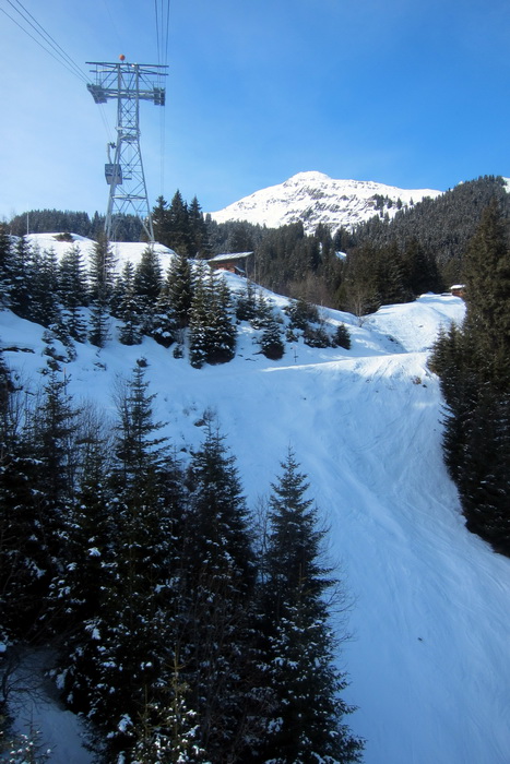 28. Januar 2011
