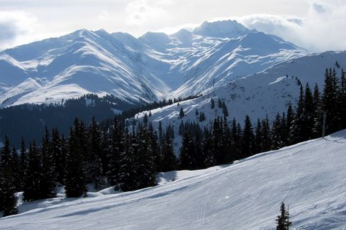 28. Januar 2011
