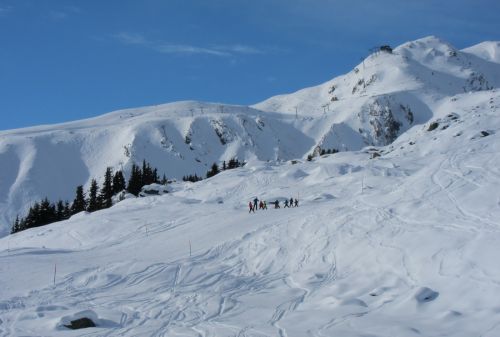 28. Januar 2011
