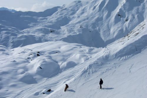 28. Januar 2011

