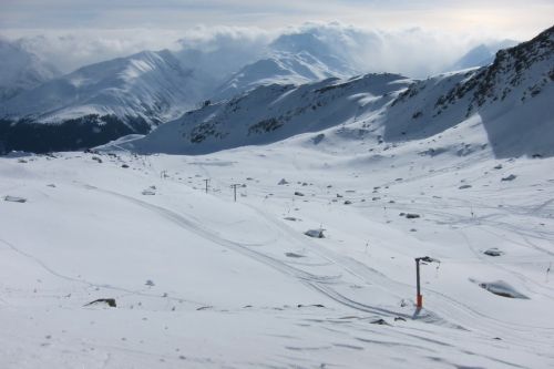 28. Januar 2011
