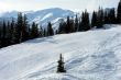 20110128-b-disentis-2206.jpg