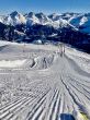 20250114-sedrun-034.jpg