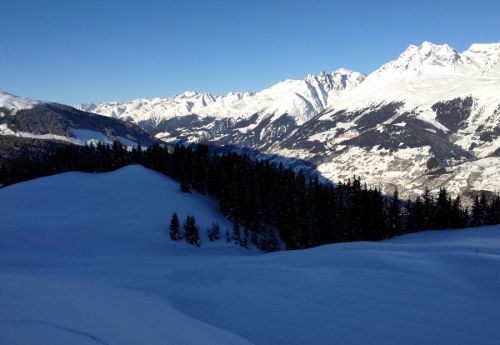 12. Januar 2012
