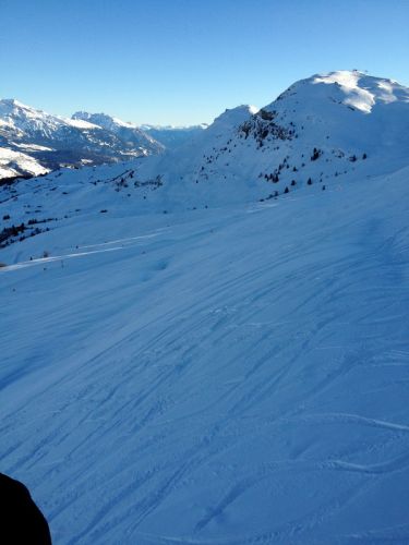 12. Januar 2012
