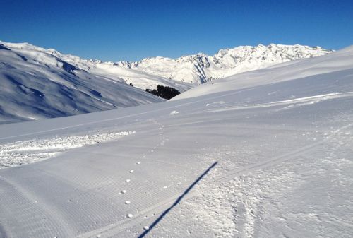 12. Januar 2012
