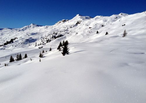12. Januar 2012
