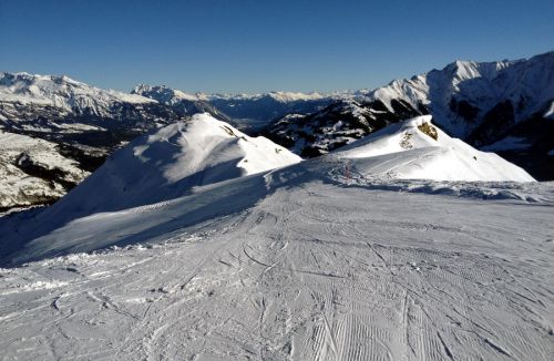 12. Januar 2012

