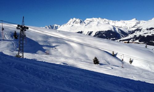 12. Januar 2012
