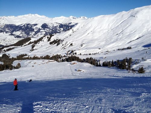 12. Januar 2012
