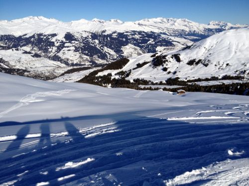 12. Januar 2012
