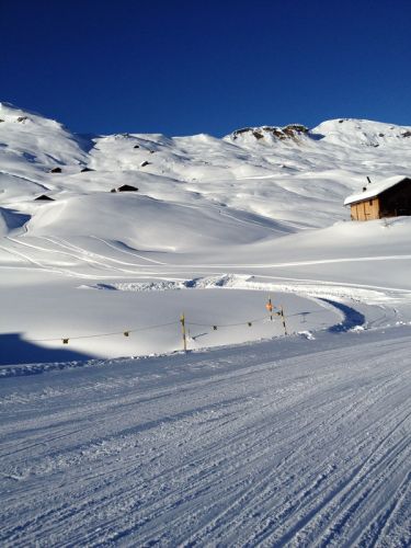 12. Januar 2012
