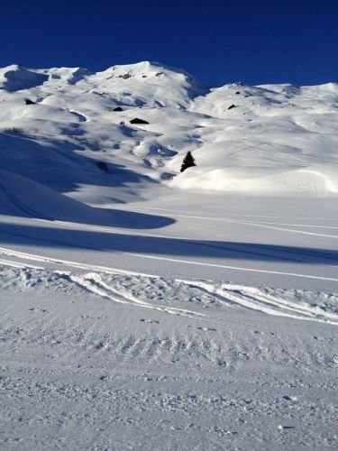 12. Januar 2012
