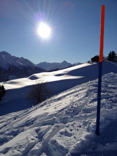 12. Januar 2012
