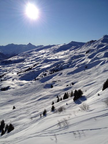 12. Januar 2012
