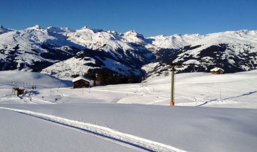 12. Januar 2012
