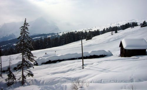 14. Februar 2009
