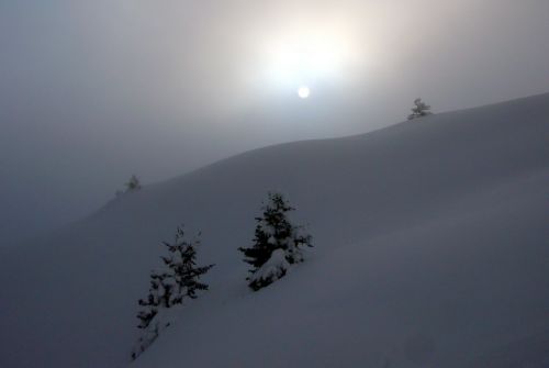 14. Februar 2009
