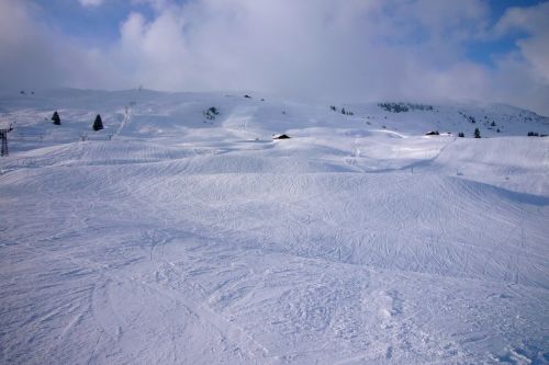 14. Februar 2009
