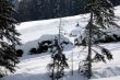 20090214-sarn-0061.jpg