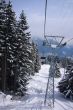 20090214-sarn-0064.jpg