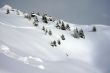 20090214-sarn-0084.jpg