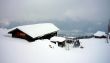 20090214-sarn-0103.jpg