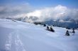 20090214-sarn-0113.jpg