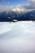 20090214-sarn-0114.jpg