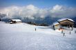 20090214-sarn-0115.jpg