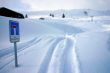 20090214-sarn-0129.jpg