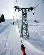 20090214-sarn-0139.jpg