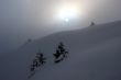 20090214-sarn-0148.jpg