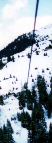 Detail aus dem vorherigen Bild
