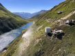 20200826-sedrun-8233.jpg