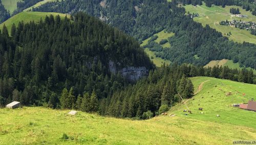 Überreste Skilift Frutt-Niederbauen, 22. Juli 2020 - Bilder des Skiliftes [url=https://www.stahlseil.ch/gallery/main.php?g2_itemId=331889]hier[/url]
